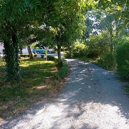 Annaswood B&B Cahir Bagian luar foto