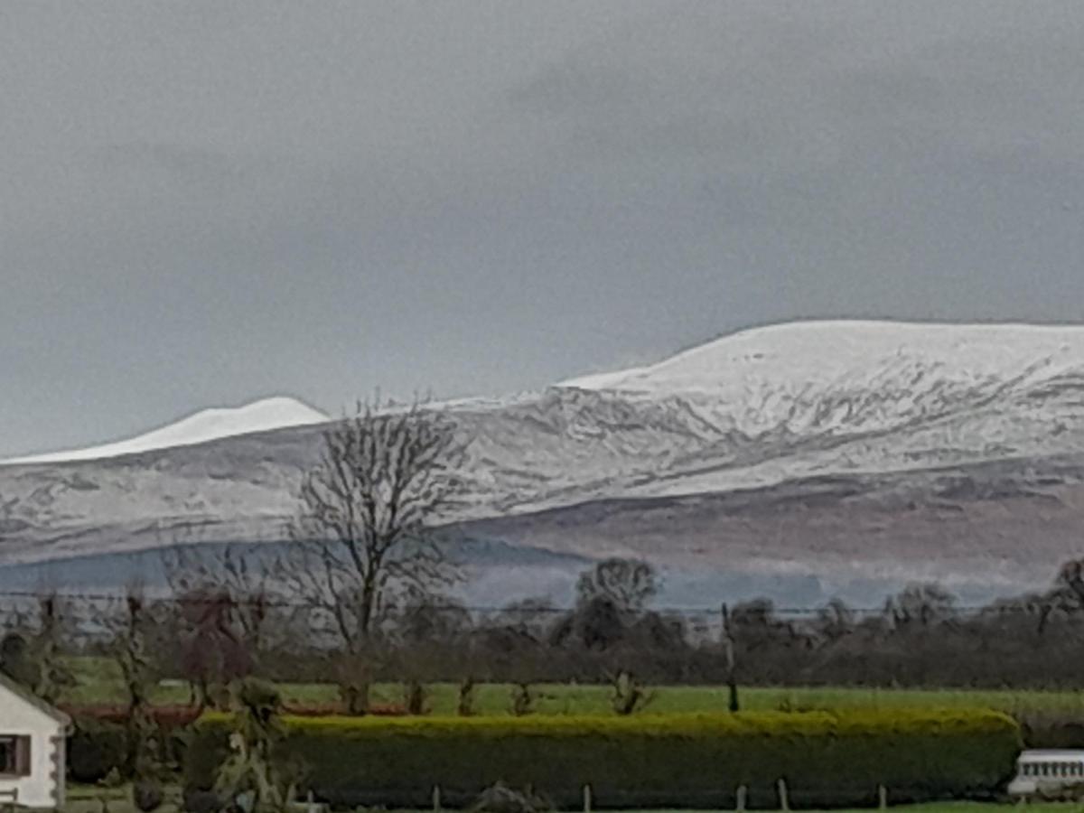 Annaswood B&B Cahir Bagian luar foto