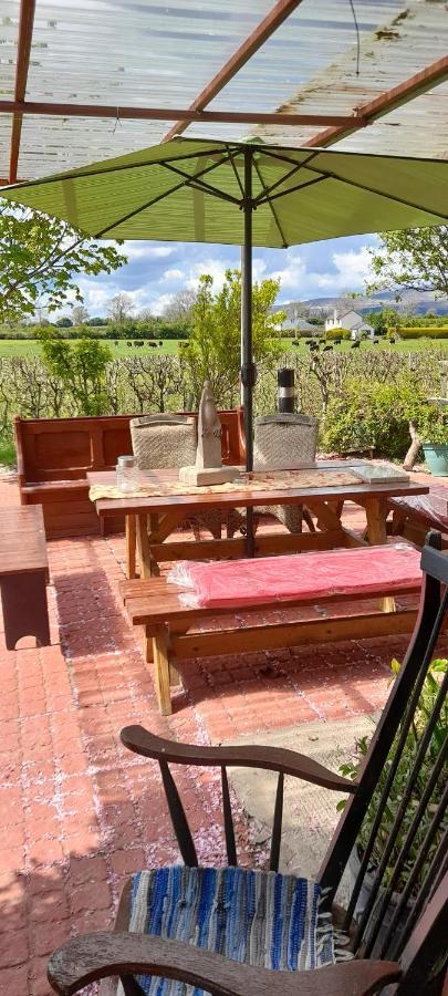 Annaswood B&B Cahir Bagian luar foto