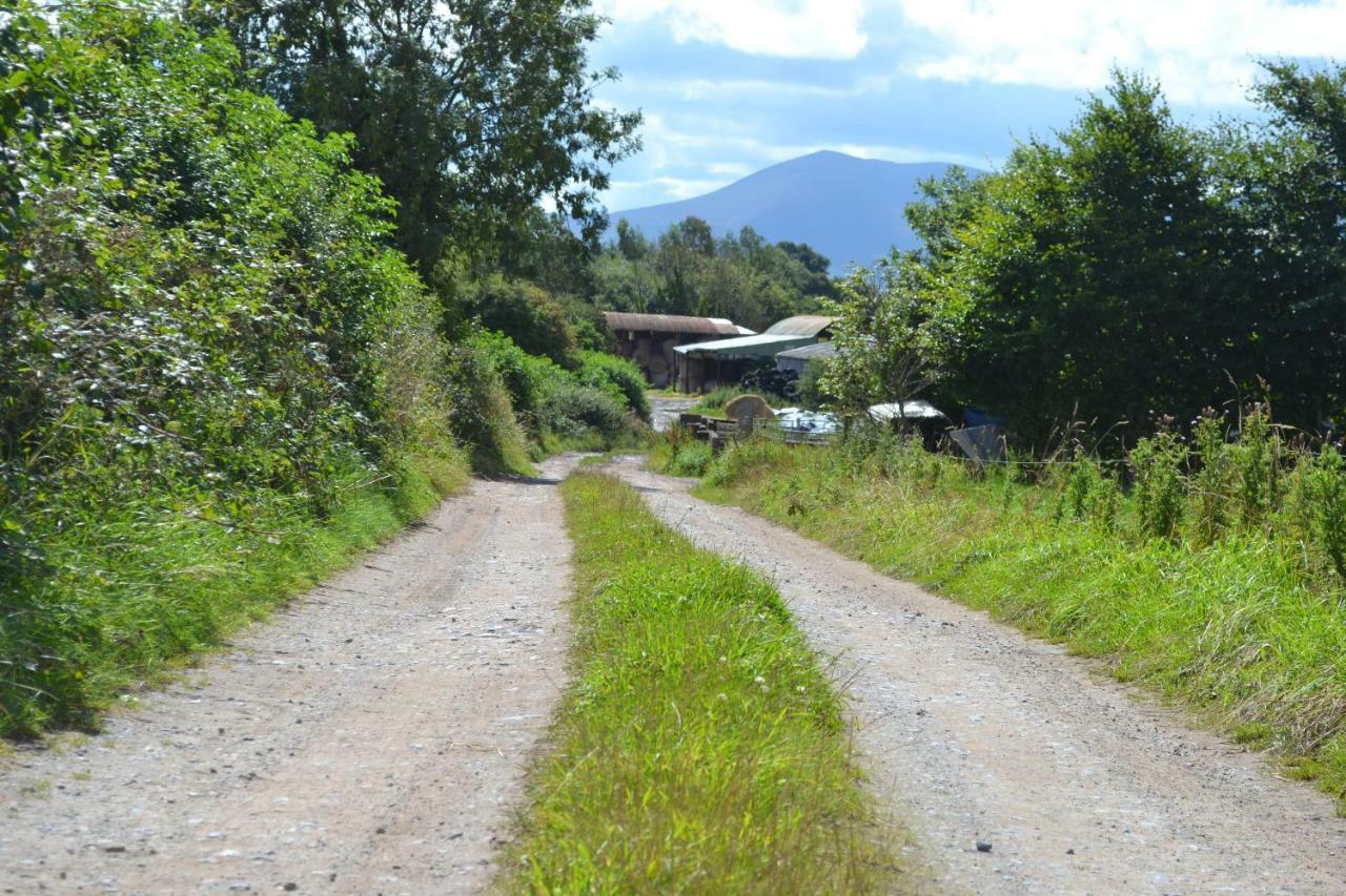 Annaswood B&B Cahir Bagian luar foto