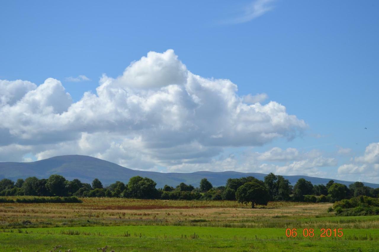 Annaswood B&B Cahir Bagian luar foto