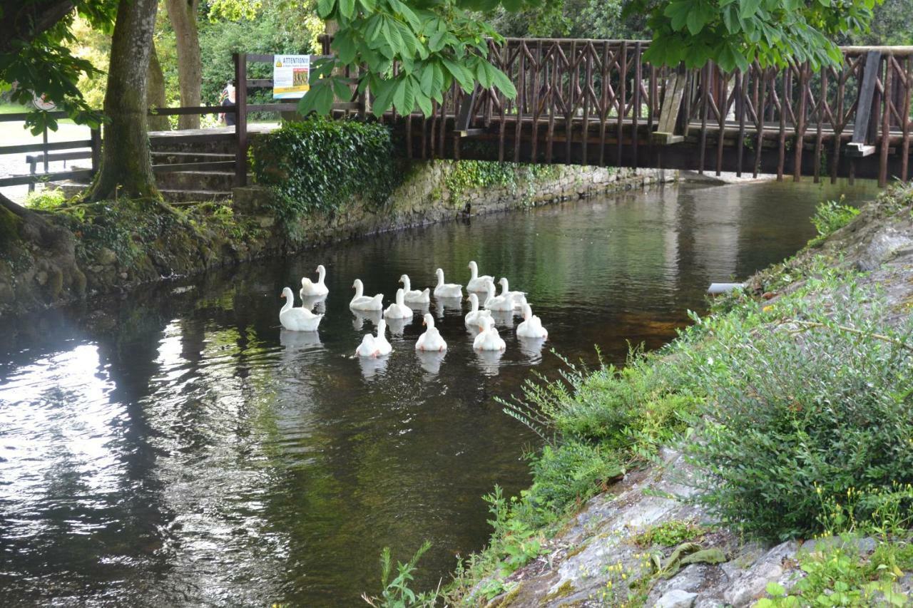 Annaswood B&B Cahir Bagian luar foto