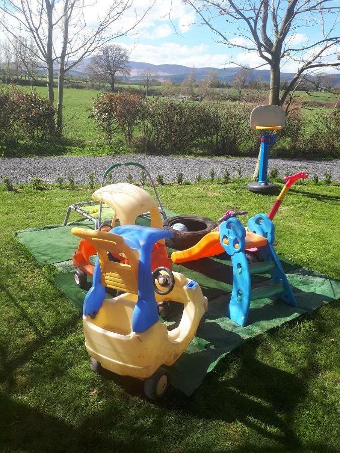 Annaswood B&B Cahir Bagian luar foto