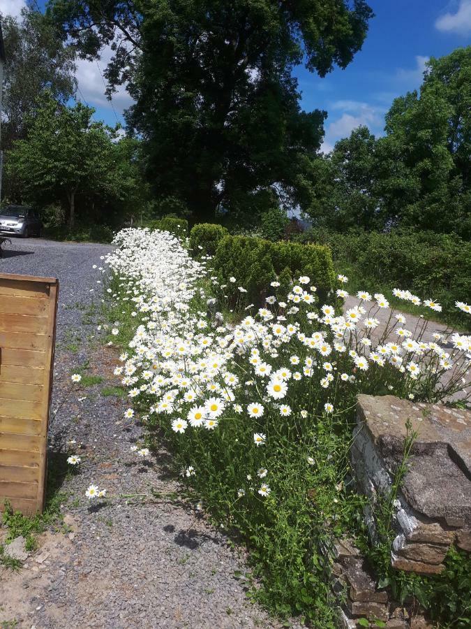 Annaswood B&B Cahir Bagian luar foto