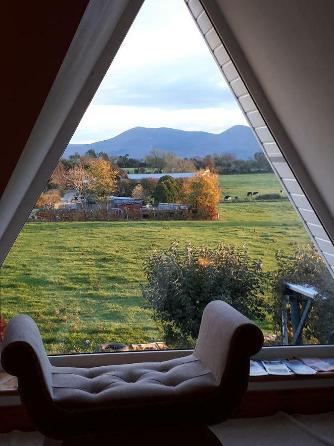 Annaswood B&B Cahir Bagian luar foto
