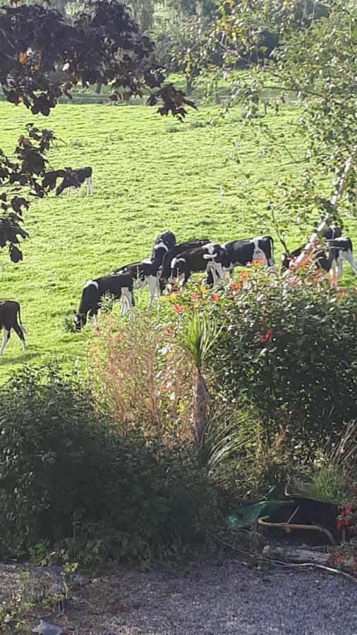 Annaswood B&B Cahir Bagian luar foto