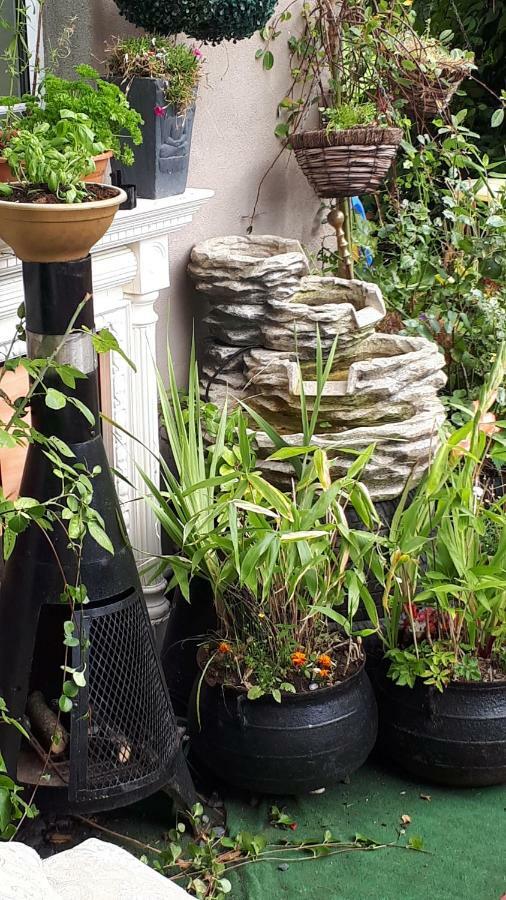 Annaswood B&B Cahir Bagian luar foto